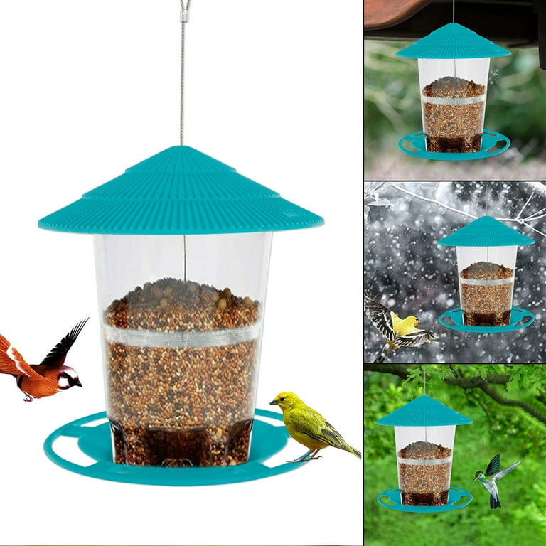 Garden bird hotsell seed suppliers