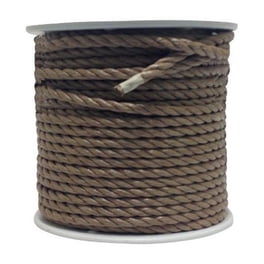 Laisse De Chien Extérieur Plomb De Corde Tressée Durable, 5 Pi Léger Pour Une Ut