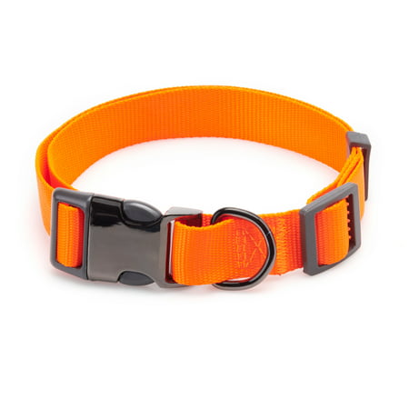 Vibrant Life Metal Hunter Dog Collar, Orange, (Best Dog Collars For Large Dogs)