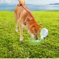 thumbnail image 1 of 2 botellas de agua para exteriores perfecl para perros taza de agua portátil 500 ml dispensador de bebida plegable con forma de globo verde, 1 of 8