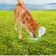 thumbnail image 1 of 2 botellas de agua para exteriores perfecl para perros taza de agua portátil 500 ml dispensador de bebida plegable con forma de globo verde, 1 of 8