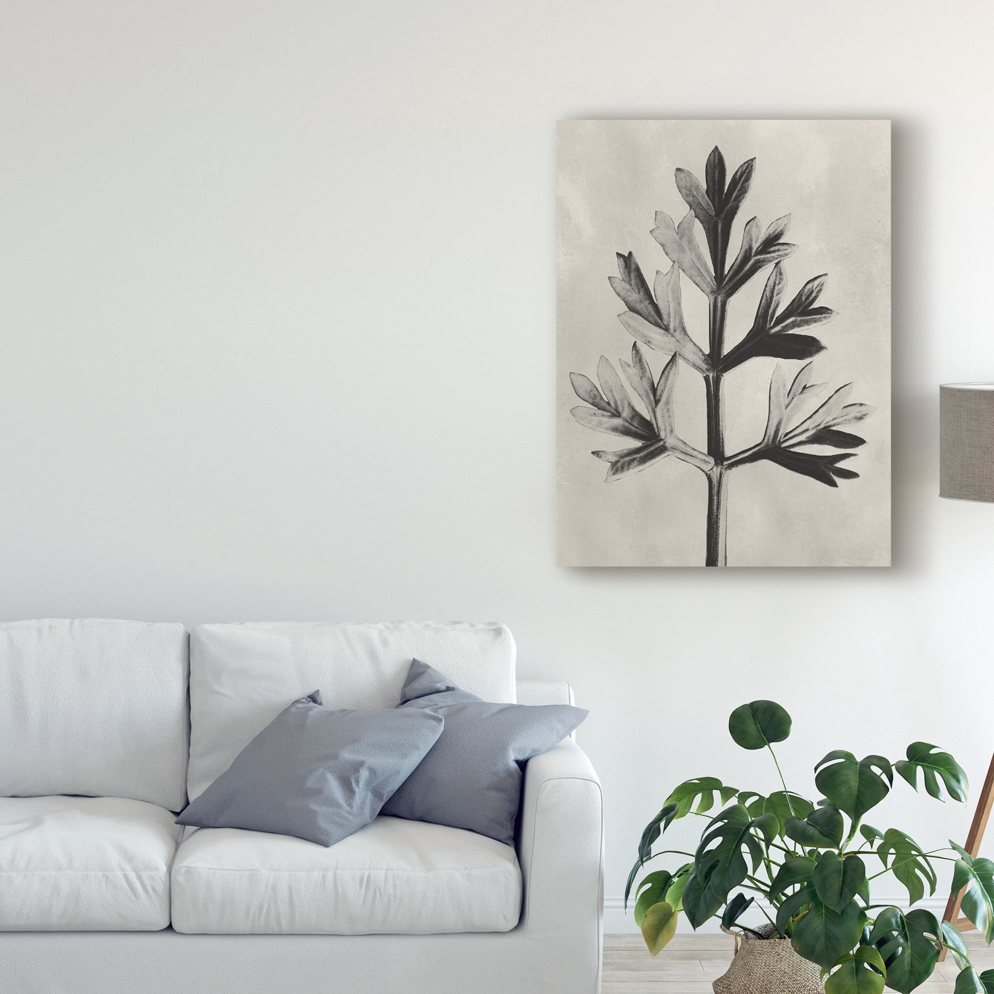 UA CH Blossfeldt Botanical I' Canvas Art by Karl Blossfeldt