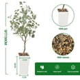 thumbnail image 2 of Huisuilinss Artificial Eucalyptus Tree,5FT Tall Faux Eucalyptus Tree,Potted Fake Eucalyptus Plant With White Tall Planter,Indoor Floor Plant For Home Living Room Balcony House Office Wedding Decor, 2 of 7