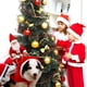 thumbnail image 4 of Matsuzay Abrigo grande de Navidad para mascotas de invierno, Sudadera con capucha bonita, traje con correa para el pecho, suministros de Kits de decoración para fiestas L, 4 of 6