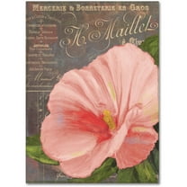Trademark Fine Art "Peach Hibiscus" Canvas Art by Color Bakery