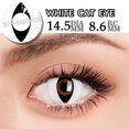 thumbnail image 1 of Bio-essence lentes de contacto para ojos de Halloween, lentes de ojo de gato, accesorios de Anime, lentes de ojo de serpiente, lentes de lagarto, 1 par, 1 of 4