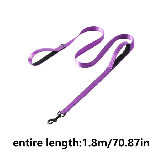 Double Handle Dog Leash Traffic Control Odor Proof Easy To Clean Coated Wide Nylon Strap With 2 Handles Suitable For Beach/muddy Exploration/training