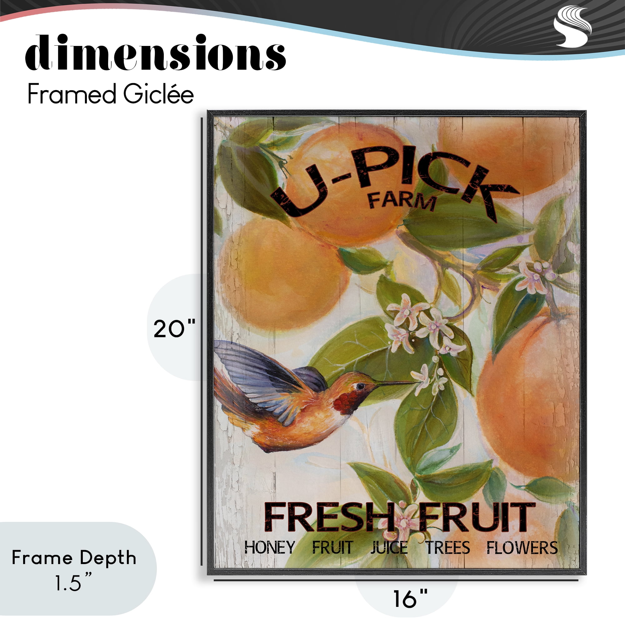 Stupell Industries U-Pick Fresh Fruit Farm Black Framed Giclee Art, design by Diannart