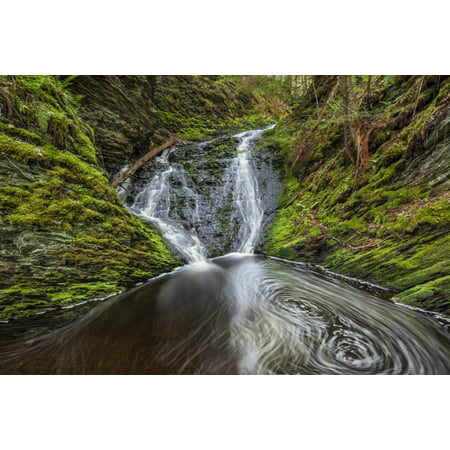 Waterfall and pool in a mossy forest ravine in springtime along Old Sanford Brook near West Gore Nova Scotia Canada Poster Print by Irwin Barrett  Design