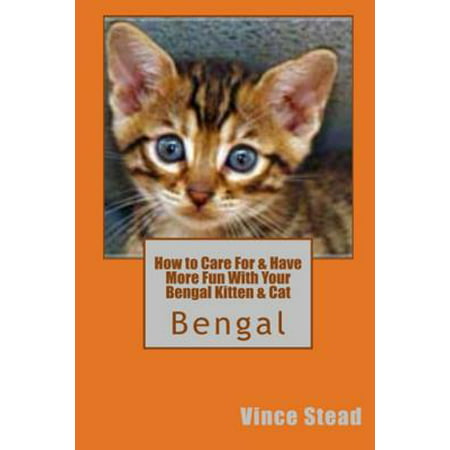 How to Care for & Have More Fun with Your Bengal Kitten &