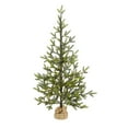 thumbnail image 3 of Nearly Natural 4' Green Fir Artificial Christmas Tree Prelit 100 Clear LED Lights, 3 of 6