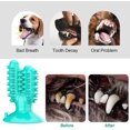 thumbnail image 4 of Cepillo de dientes para perros, juguete interactivo para masticar, juguete para masticar para perros con función de cuidado de los dientes, caucho Natural para perros pequeños, juguete para masticar para perros Rojo Verde Cocina, Decoración y Otros, 4 of 5