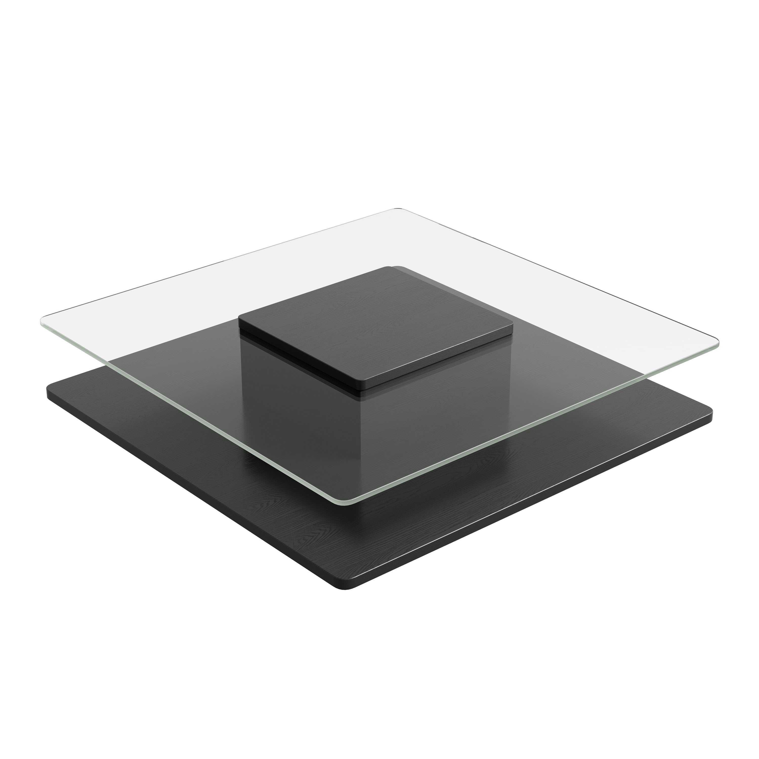 GARITIN Coffee Table 31.5 Inch, Square Tempered Glass Top with Storage Shelf and Black Finish Frame for Living Room