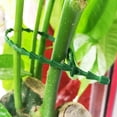 thumbnail image 3 of Pgyong 100 Pcs Attaches Pliables Réglables pour Plantes à Chevrons Multi-Usages Jardin, 3 of 4