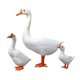 thumbnail image 1 of Estatua de jardín de 3 piezas, escultura de animal realista, estatua de simulación, decoración. 38 cm 20 cm 13 cm, 1 of 9