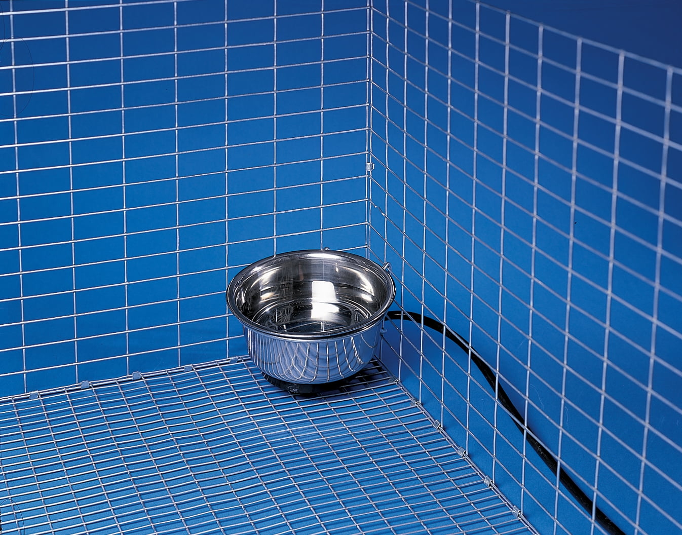 Allied Precision 90 1 qt Stainless Steel Heated Pet Bowl with Hutch