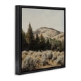 thumbnail image 2 of Stupell Industries Southwestern Cedar Mountain View Black Floating Frame Canvas Art, 18 x 18, by Petals Prints Design, 2 of 8