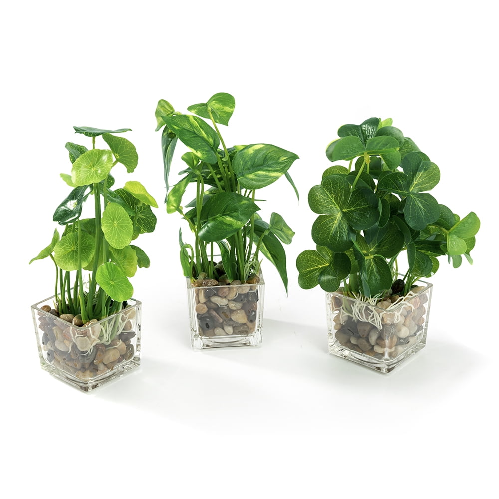 K-Cliffs 3pcs Modern Artificial Green Mini Faux Plants  in Glass Pots, Each plant- 5.7L x 5.7W x 9.3H inches; each pot- 2.7L x 2.7W x 2.6H, 1 lb