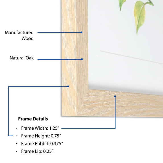 ArtToFrames 4" x 17" Natural Oak Picture Frame, 4x17 inch Brown MDF Poster Frame (WOM-4299), 3 Pack