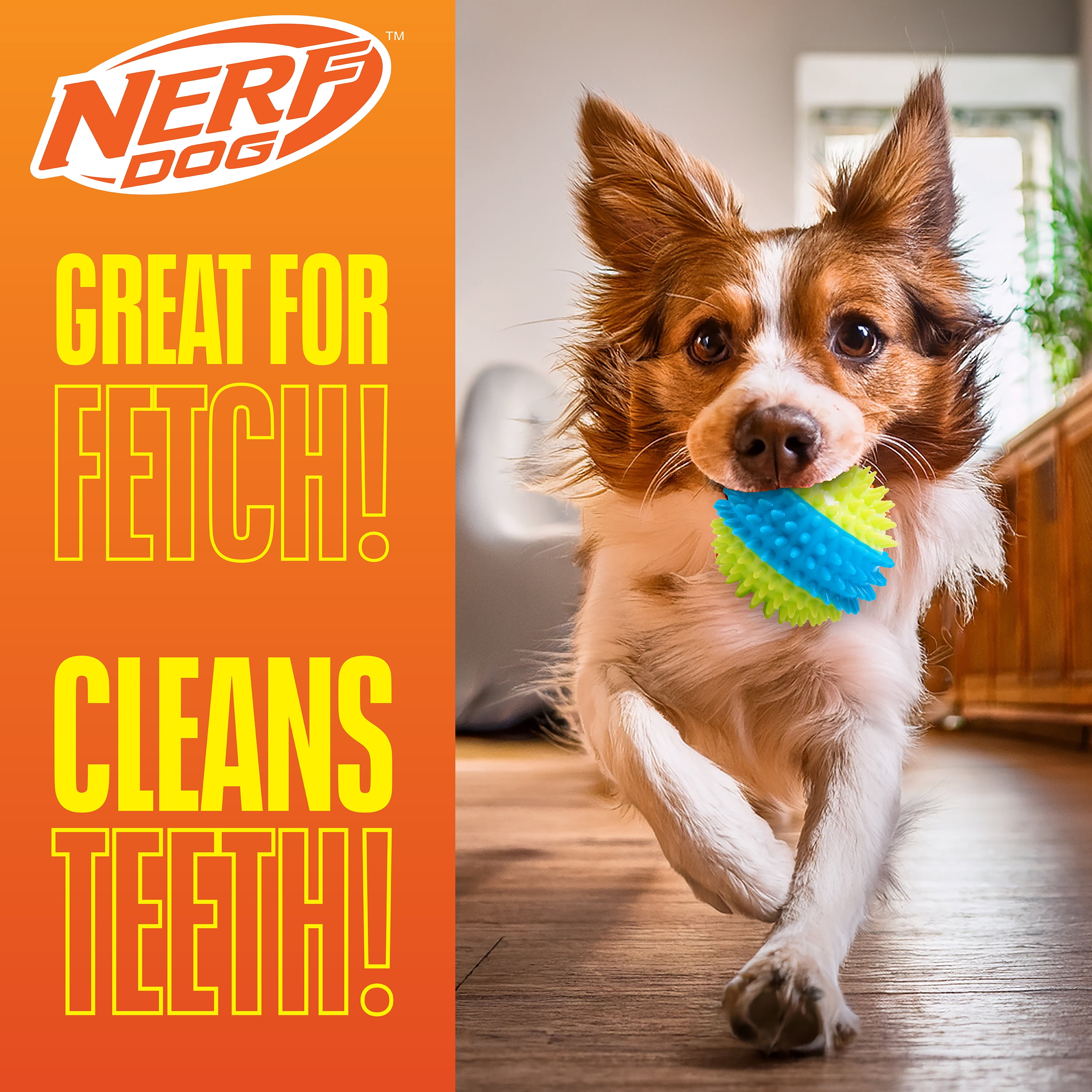 Nerf Dog TPR Spike Squeak Ball for Dogs, Green/Blue, 3.7 inch
