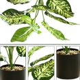 thumbnail image 3 of Plantas artificiales en macetas, plantas falsas, plantas verdes realistas de imitación para el hogar, la oficina, el escritorio, la estantería, la sala de estar, el baño, la cocina, decoración con, 3 of 5