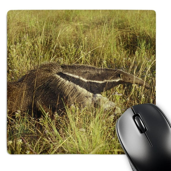 3dRose, Giand Anteater.El Pantanal, Wetlands, Matto Grosso, Brazil., MousePad