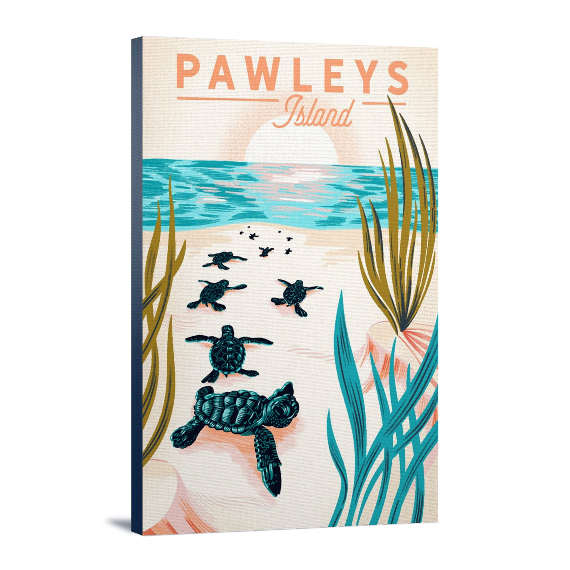 Pawleys Island, South Carolina, Turtles on Beach, Pause Respect Protect