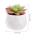 thumbnail image 4 of 3 Pcs Mini Simulation Succulent Potted Plant Ornament Potted Bonsai Decoration, 4 of 7