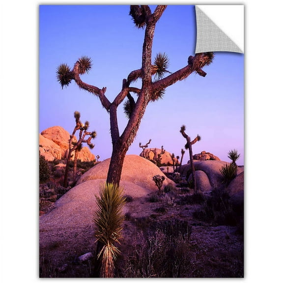 Dean Uhlinger Joshua Tree Twilight, Art Appeelz Removable Wall Art Graphic