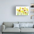 thumbnail image 2 of Canvas Wall Art - Jacky Parker 'Vibrant Spring' Wall Art for Living Room, Bedroom, or Office Décor by Trademark Fine Art - 24 x 16 Inches, 2 of 4
