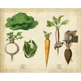 thumbnail image 2 of Unknown 18x15 Gold Ornate Wood Framed with Double Matting Museum Art Print Titled - Kitchen Vegetables and Roots I, 2 of 4