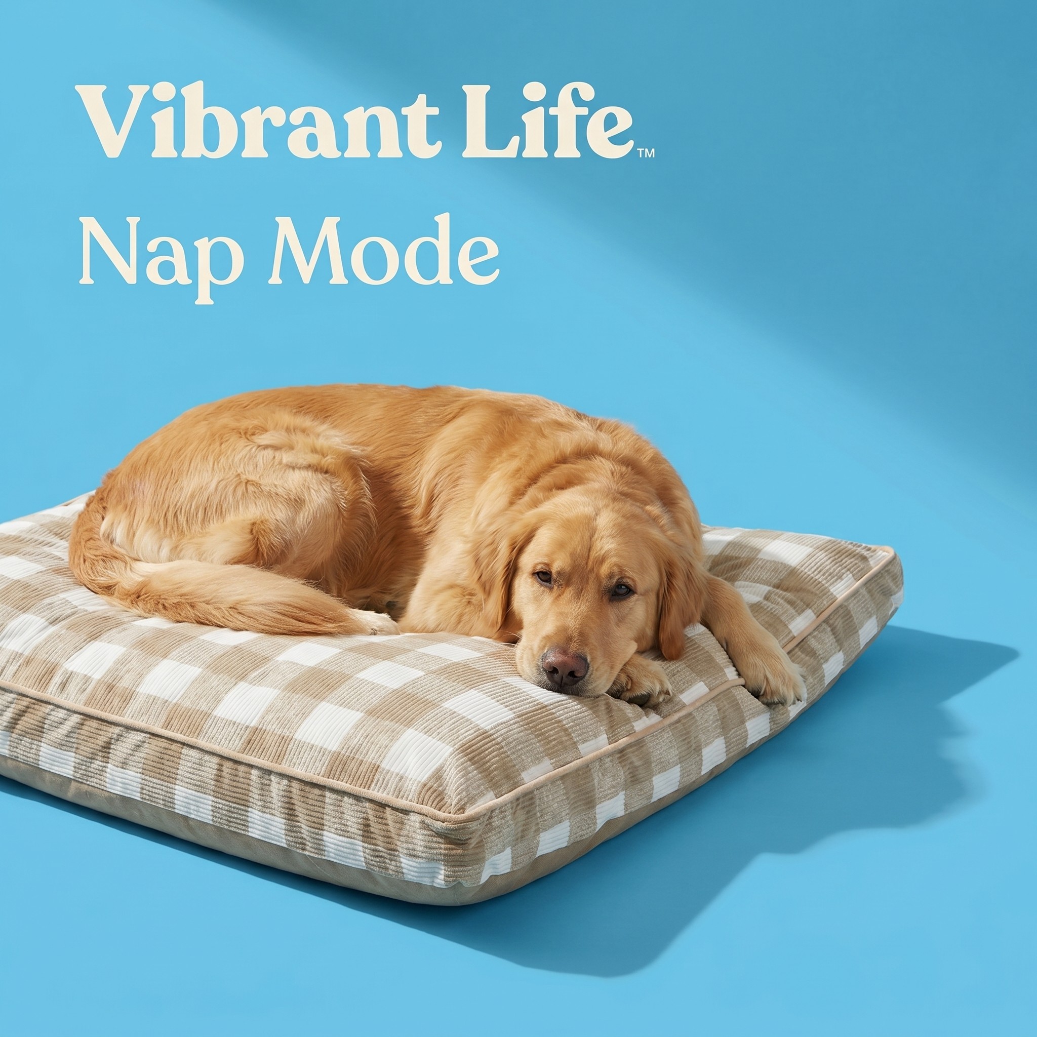 Vibrant Life Large Deluxe Gusset Pet Bed, Tan Plaid, 42"x32" photo 4