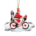 thumbnail image 1 of Decoraciones de Árbol de Navidad Colgante de Navidad de Santa Claus Muñeca de Cachorro de Acrílico Bicicleta Árbol de Navidad Conjunto Colgante Decoración de Santa Claus, 1 of 4