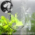 thumbnail image 1 of Soporte de vidrio para plantas acuáticas con ventosa - Ideal para peces y decoración natural en acuarios (5x6x7cm), 1 of 6