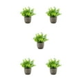thumbnail image 3 of Decodeary Green Eco-friendly Artificial Money Tree In Pot Long-lasting Durability Realistic Appearance blue babysbreath 5Set, 3 of 6