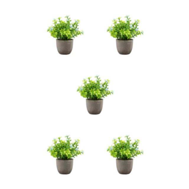 kurtrusly Realistic Artificial Succulent Low Maintenance Elegant Easy To Clean Artificial Money Tree In Pot blue babysbreath 5Set