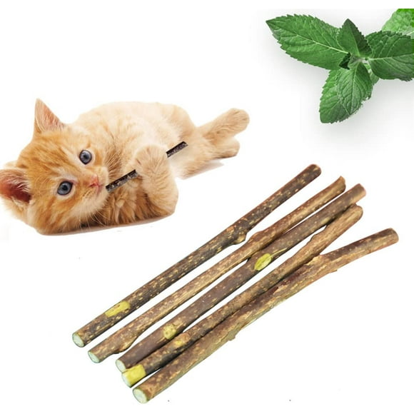 Bâtonnets de menthe pour chats, jouets de menthe pour chats, bâtonnets à mâcher pour chats, bâtonnets de molaire pour chats, bâtonnets de soins dentaires pour chats