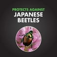 thumbnail image 3 of (5 pack) Spectracide Bag-A-Bug Japanese Beetle Trap, Dual Lure System, 3 of 4