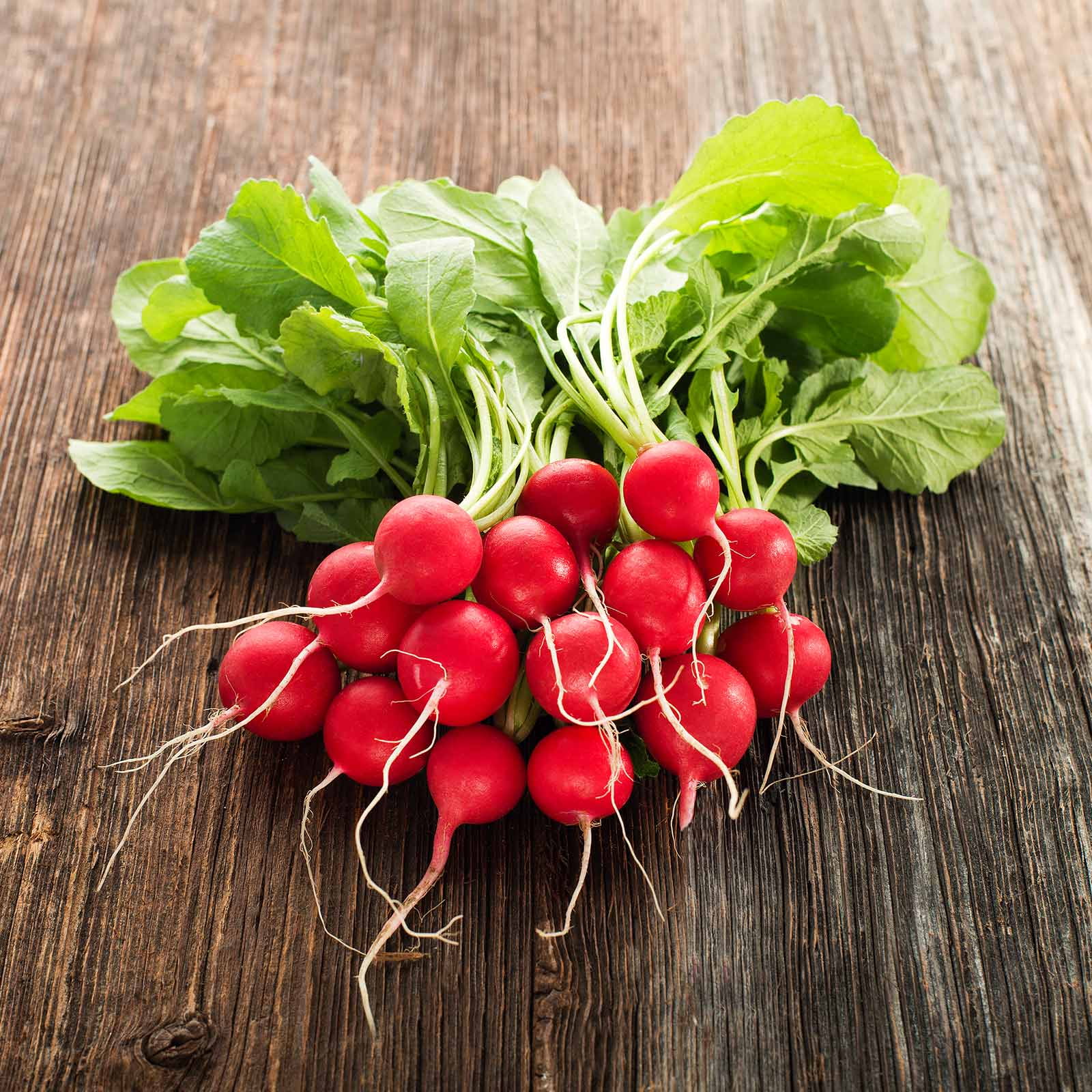 Cherry Belle Radish Seeds 25 Lb Bulk Seed Heirloom Garden Seeds