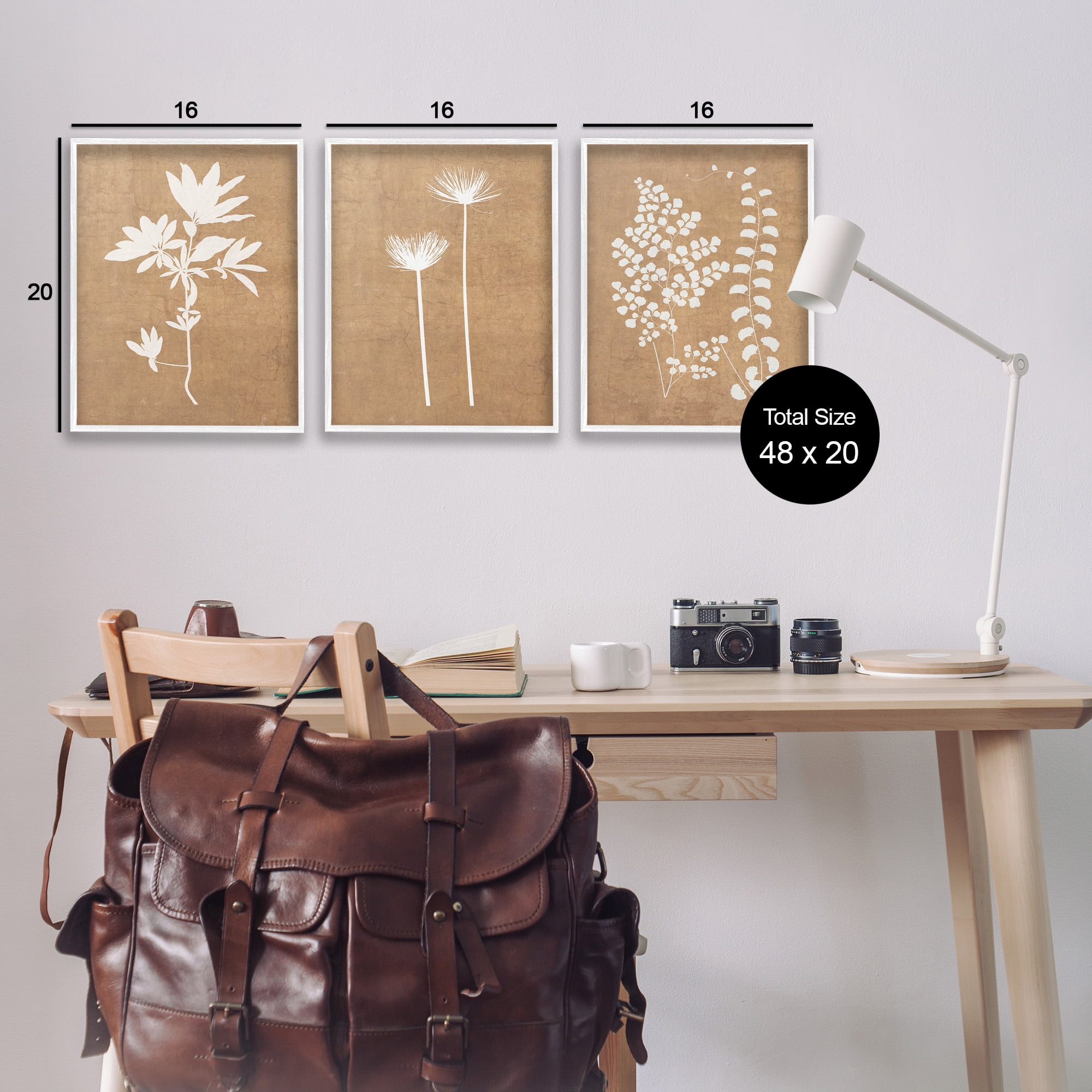 Stupell Industries Nature Botanical Silhouettes Botanical & Floral Painting White Framed Art Print Wall Art, 16 x 20, Set of 3