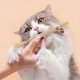 thumbnail image 5 of 6-Pack Natural Cat Chew Sticks, Interactive Chew Toys for Kittens, Silver Vine Sticks Dental Care Catnip Teeth Cleaning Chew Toys, 5 of 5