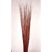 4-5 ft Burnt Red-Orange Asian Willow Stems