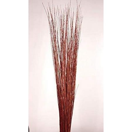 4-5 ft Burnt Red-Orange Asian Willow Stems