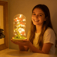 thumbnail image 3 of FTCBJJA Preserved Artificial Carnation in Glass Dome with LED String Light, Glass Rose Artificial Flowers with Eternal Carnation, Mother’s Day Carnation Flowers Gifts for Mom&Women,Red, 3 of 6