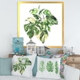thumbnail image 3 of Designart 'Tropical Green Leaves On White In Summer Times I' Tropical Framed Art Print, 3 of 4