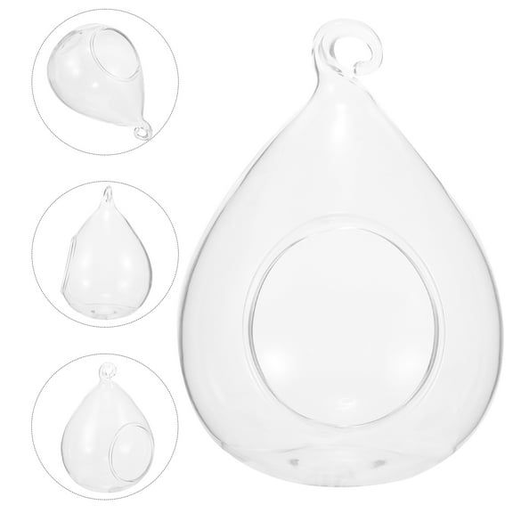 HOMEMAXS Microlandscape Glass Terrarium Hanging Air Plant Terrarium Glass Globe Terrarium