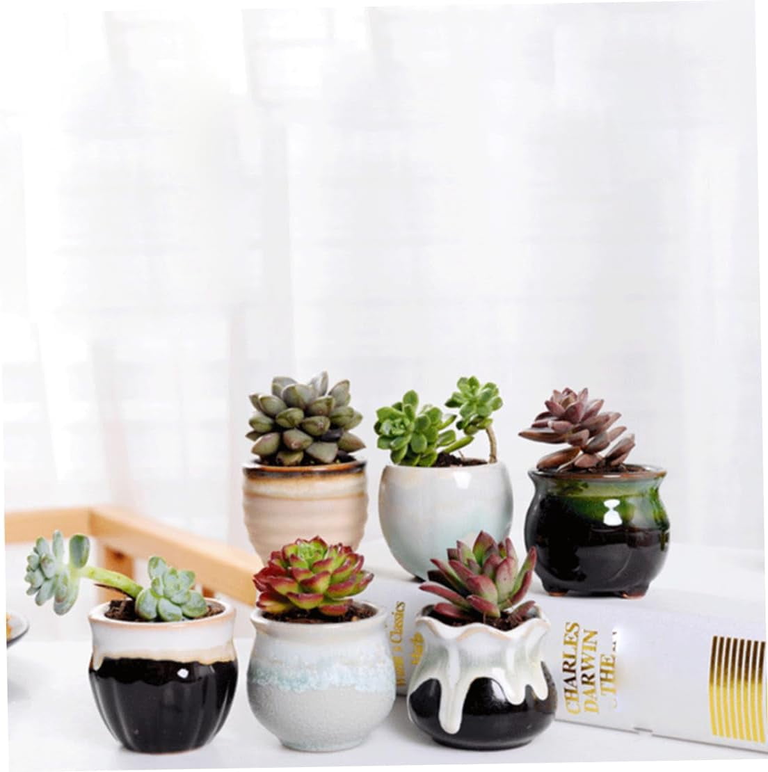 Mini Ceramic Flower Pots with Drainage Holes, Tiny Porcelain Planters for Home and Office Decor, Ideal for Succulent, Cactus, Herb, 6 PCS Set
