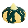 thumbnail image 3 of Boovnll Pumpkin Pillow, Fall Artificial Velvet Fleece Pumpkin Decor Throw Pillows Pumpkin Pillows for Bedroom, Sofa, Couch, Thanksgiving/Halloween Fall Decor, Fall Decorations for Home, 3 of 7