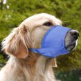 thumbnail image 2 of Didog Dog Anti-Bark Bite Nylon Muzzle Nylon Pet Dog Muzzle Head Collar With Adjustable Strap 4 Color for Small Large, 2 of 3