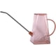 thumbnail image 1 of Regadera para interiores, pequeñas regaderas para plantas de interior, flores, suculentas, 50 oz (Gary), 1 of 6